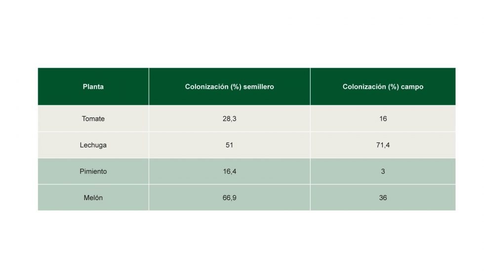 Tabla 2: Resultados del porcentaje de colonizacin micorrcica de las diferentes especies ensayadas a la salida de semillero y en campo...