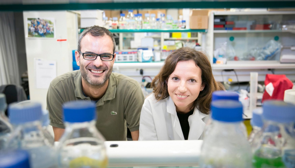 Los investigadores Salvador Aznar Benitah (lder del estudio) y Gloria Pascual (primera autora) en el laboratorio del IRB Barcelona...