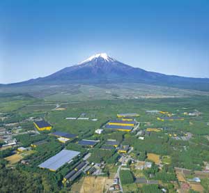 Con el monte Fuji en el fondo, Fanuc se rodea de un magnfico entorno que cuida al mximo