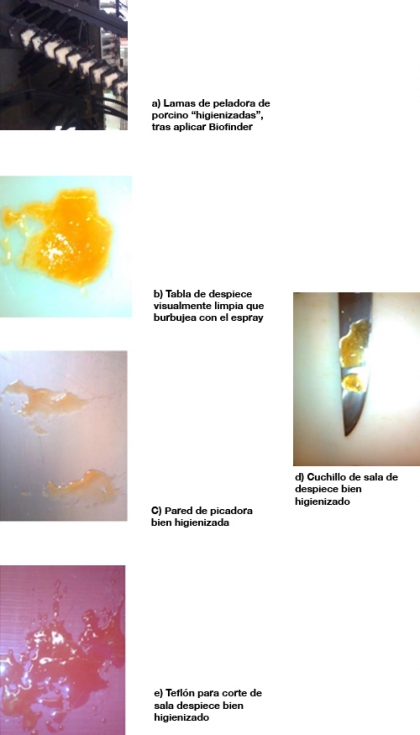 Figura 2: a) Lamas de peladora de porcino, una vez finalizada la higienizacin, tras aplicacin de Biofinder...