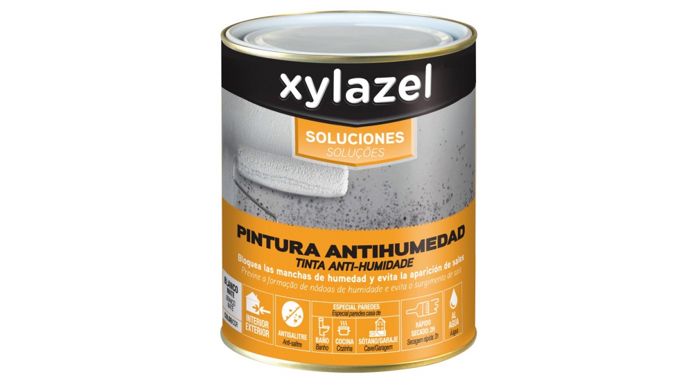 Xylazel Soluciones Pintura Antihumedad