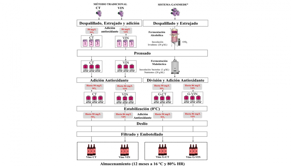 Figura 3. Esquema de los procesos de vinificacin de Syrah