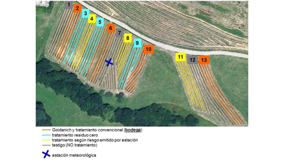 Fig. 1. Divisin de la parcela de Aia segn los esquemas de tratamiento aplicados para el control del mildiu