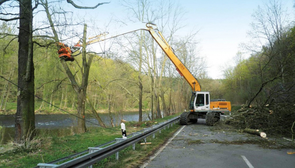 La mecanización de la poda en altura y desmontado de árboles - Obras  públicas