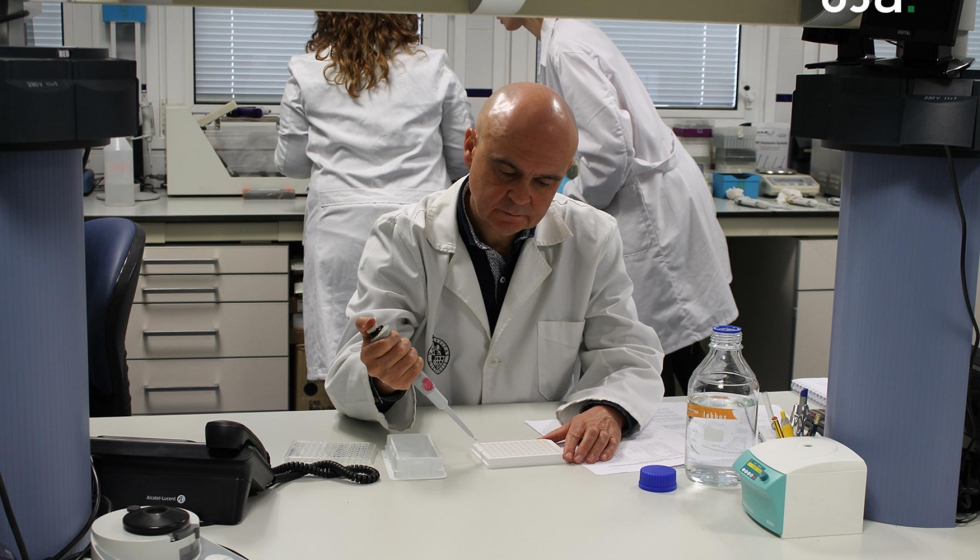Jos Juan Gaforio, en una de sus jornadas de trabajo en el laboratorio
