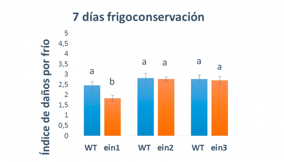 Figura 4. ndice de daos por fro (CI) en los frutos WT y mutantes de las familias ein1, ein2 y ein3 a los 7 das de conservacin a 4 C...
