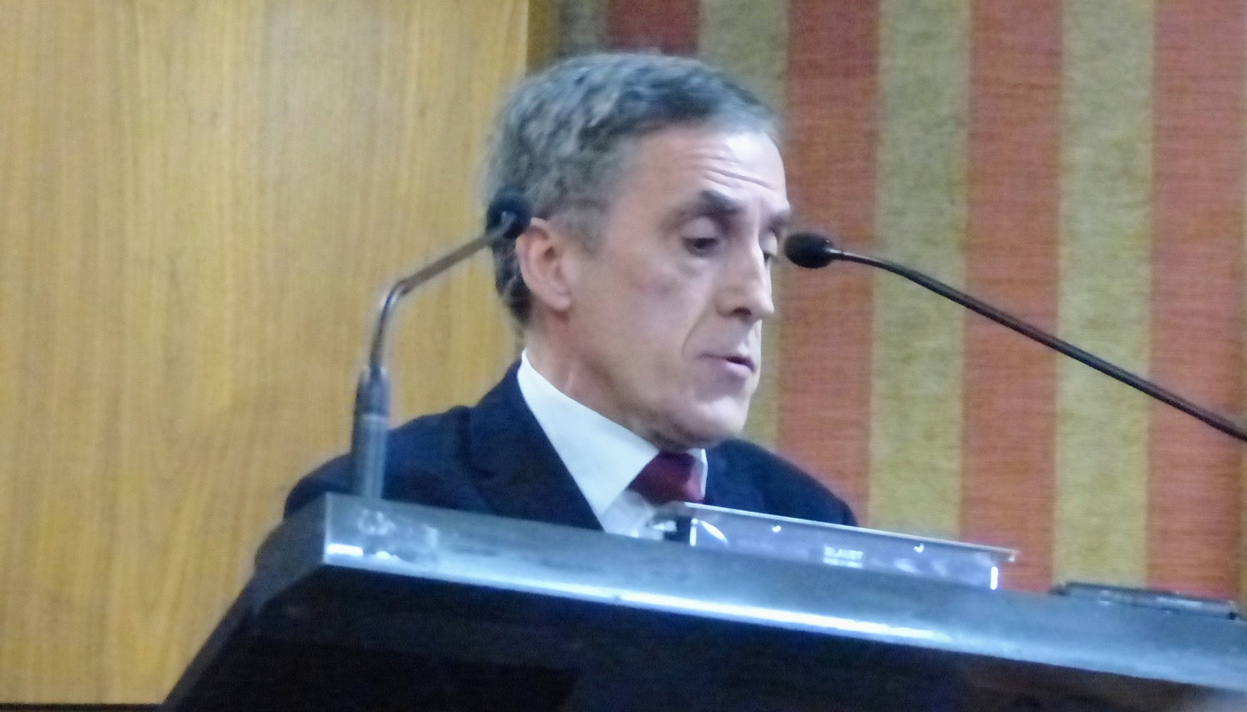 Gustavo Armijo, Dr. ICCyP (Geocisa), en la exposicin de su ponencia
