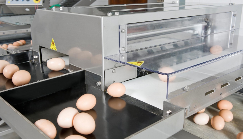 La calificadora de huevos permite pesar 30.000 huevos por hora, el doble de velocidad que su predecesora, la Elgra 3