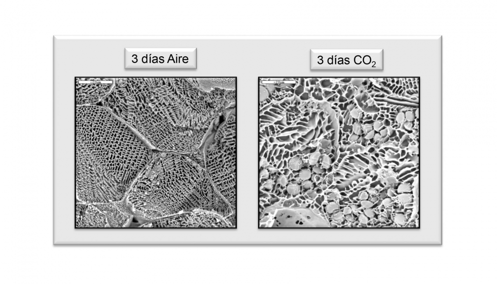 Figura 1: Efecto del CO2 en el retraso de la degradacin de almidn en chirimoya (Annona cherimola Mill cv Fino de Jete)...
