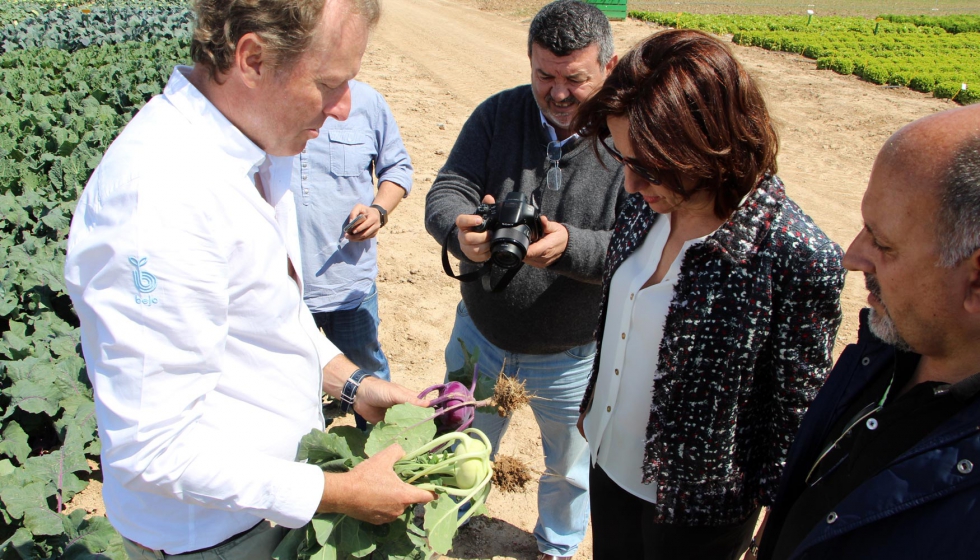 Un ejemplo de innovacin son los colirbanos que se producen en Murcia para Alemania