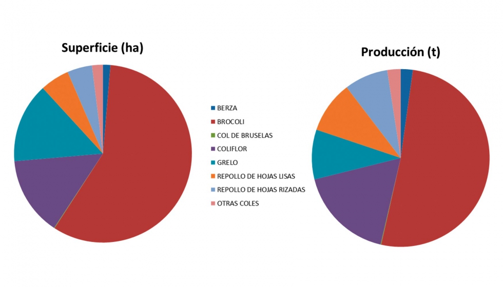 Figura 1. Superficie cultivada en hectreas (ha) y produccin total en toneladas (t) de los cultivos de brsicas en Espaa (Fuente: MAGRAMA 2015)...