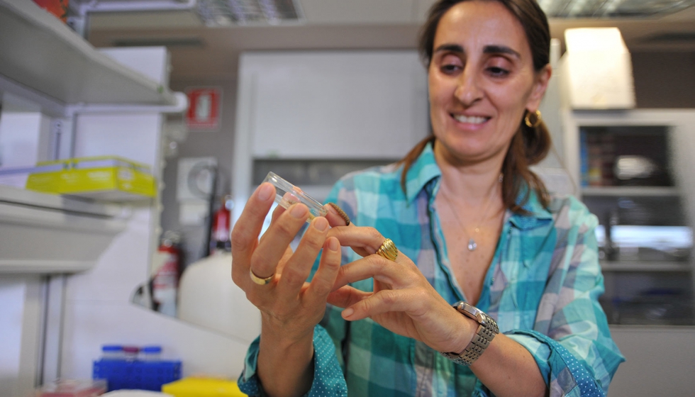 (Izq.) La investigadora del CSIC Federica Bertocchini con un gusano de la cera. (Dcha.). Csar Hernndez/CSIC