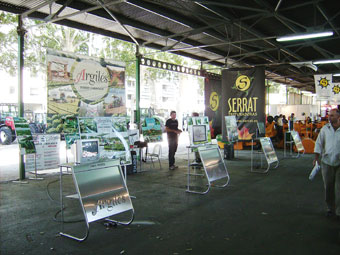La empresa Argils Disseny i Fabricaci expuso en su stand de la Fira de Sant Miquel varios modelos de maquinaria de recoleccin de hortalizas...
