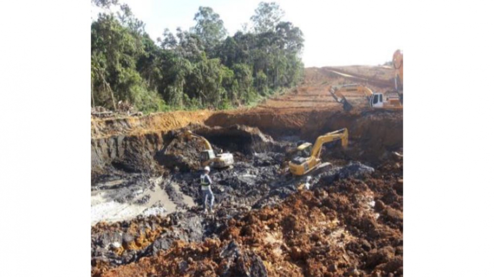 Foto 3: Suelos blandos con contenido org�nico