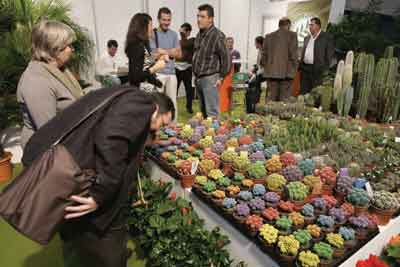 23.000 visitantes recorrieron la feria Iberflora los pasados 17 a 19 de octubre