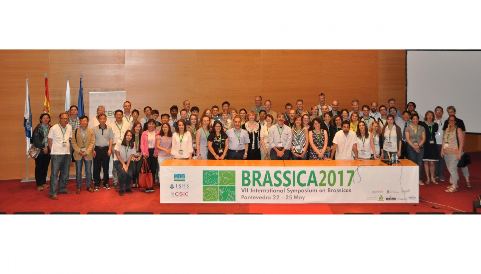 Participantes en el VII Congreso Internacional de brsicas