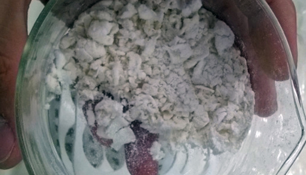 Un yogur para protegernos de la Salmonella Producció alimentària