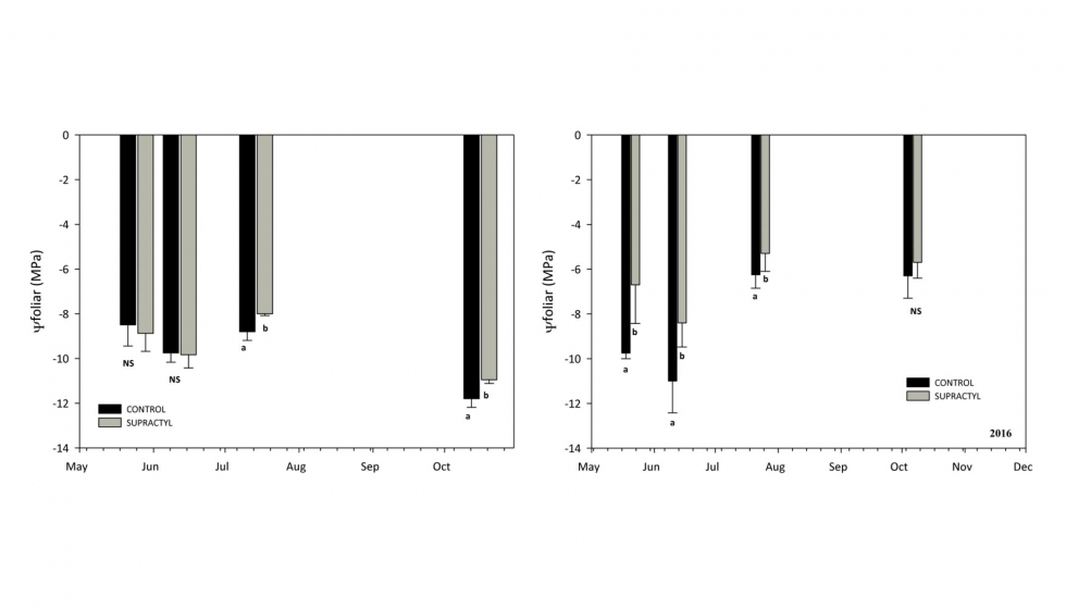 Figura 2: Potencial hdrico de la hoja de primavera (MPa) durante el 2015 (izda) y 2016 (dcha)