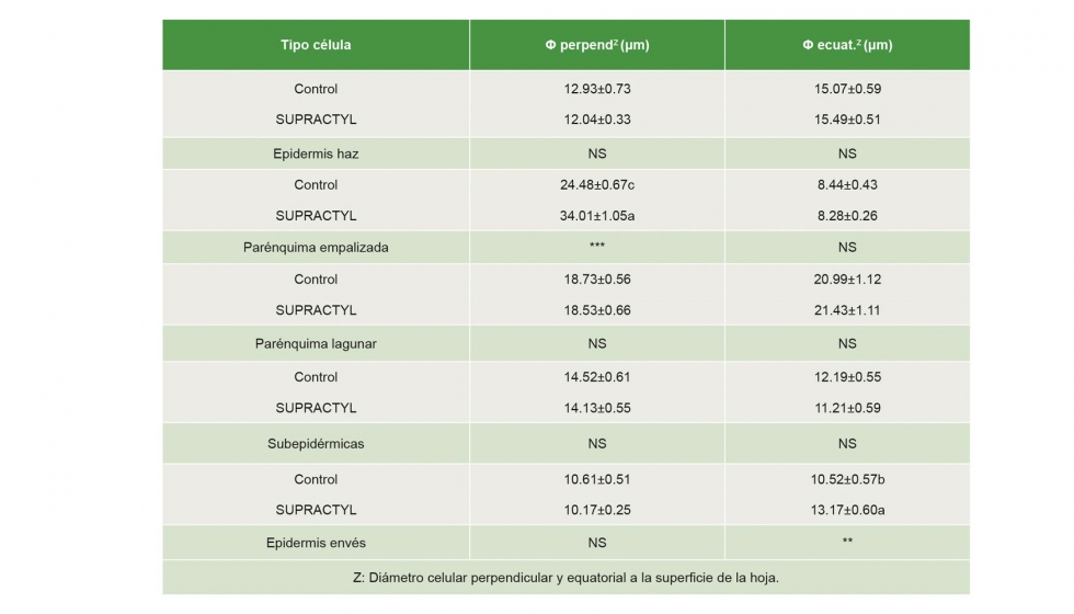 Tabla 2: Biometra de las clulas de las hojas de la brotacin de primavera el segundo ao del ensayo