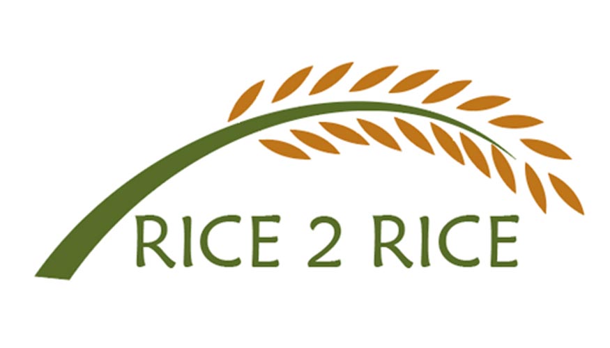 Logo del proyecto Rice2Rice
