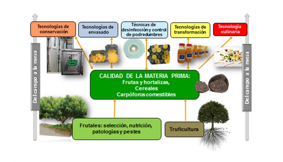 Figura 1. Lneas de investigacin del Grupo Alimentos de Origen Vegetal