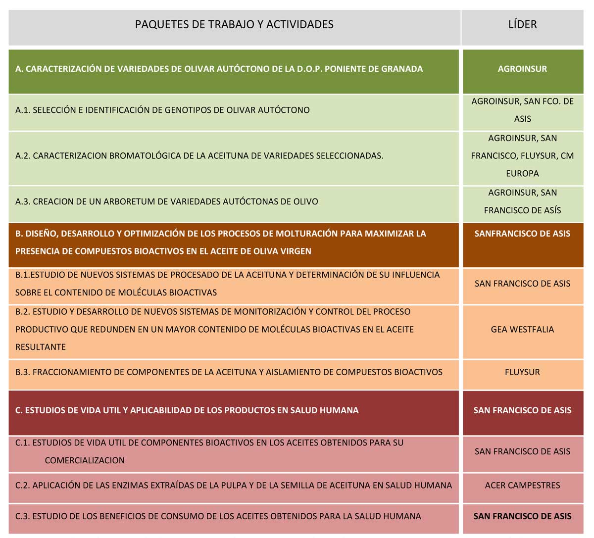 Plan de Actividades y Tareas de I+D asignadas a las empresas que componan del Consorcio