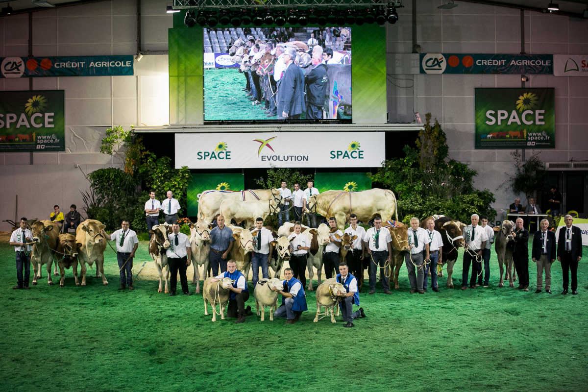 Space es una de las grandes citas internacionales del sector ganadero
