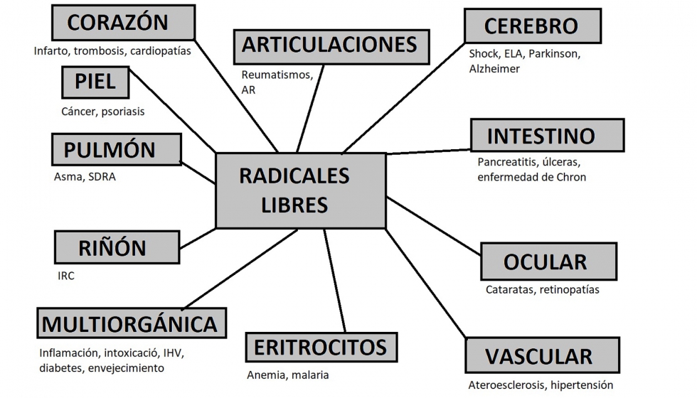 rganos sensibles a la accin de los radiacles libres y sus patologas asociadas. Fuente: Instituto Valenciano de Ozonoterapia...