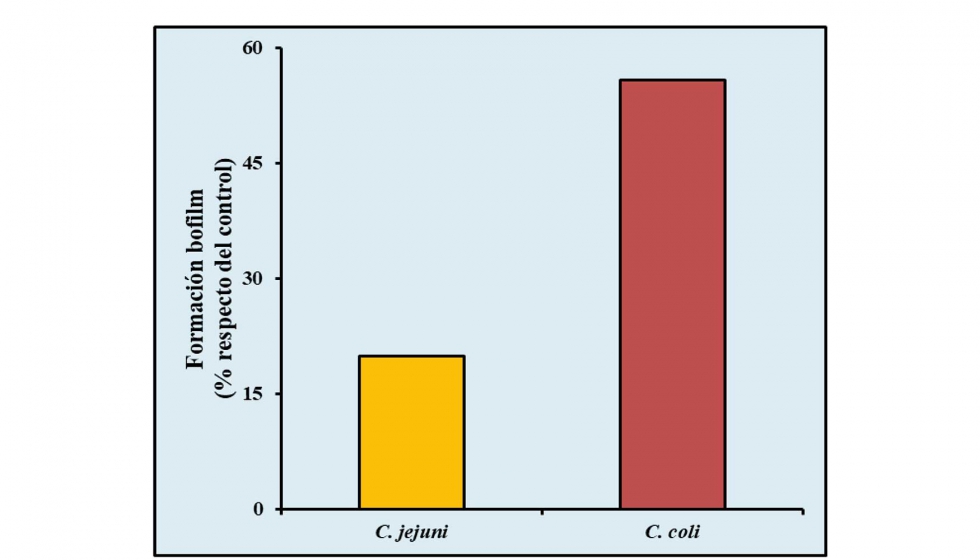 Figura 4. Estimacin media de formacin de biofilm de cepas de C. jejuni y C...