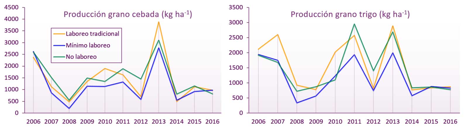 Figura 1. Produccin de grano (12%) de cebada y trigo a lo largo de 10 aos en funcin del sistema de laboreo