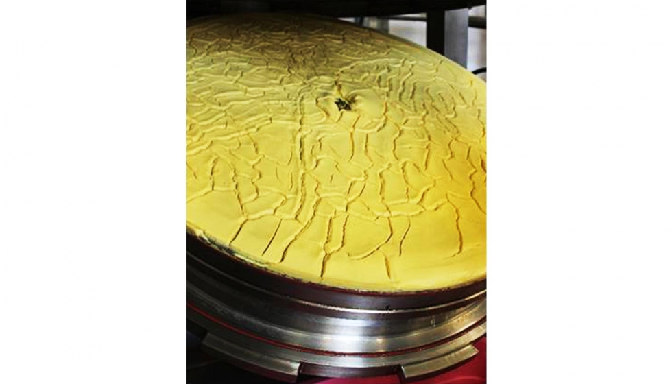Torta residual de microalgas tras la extraccin de aceite en la planta piloto de extraccin localizada en Catar-Critt