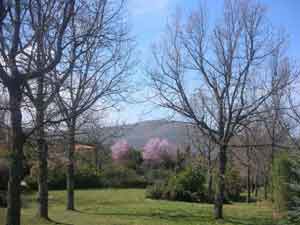 La finca est enclavada entre las montaas y la vegetacindel Valle de Lozoya (Madrid)