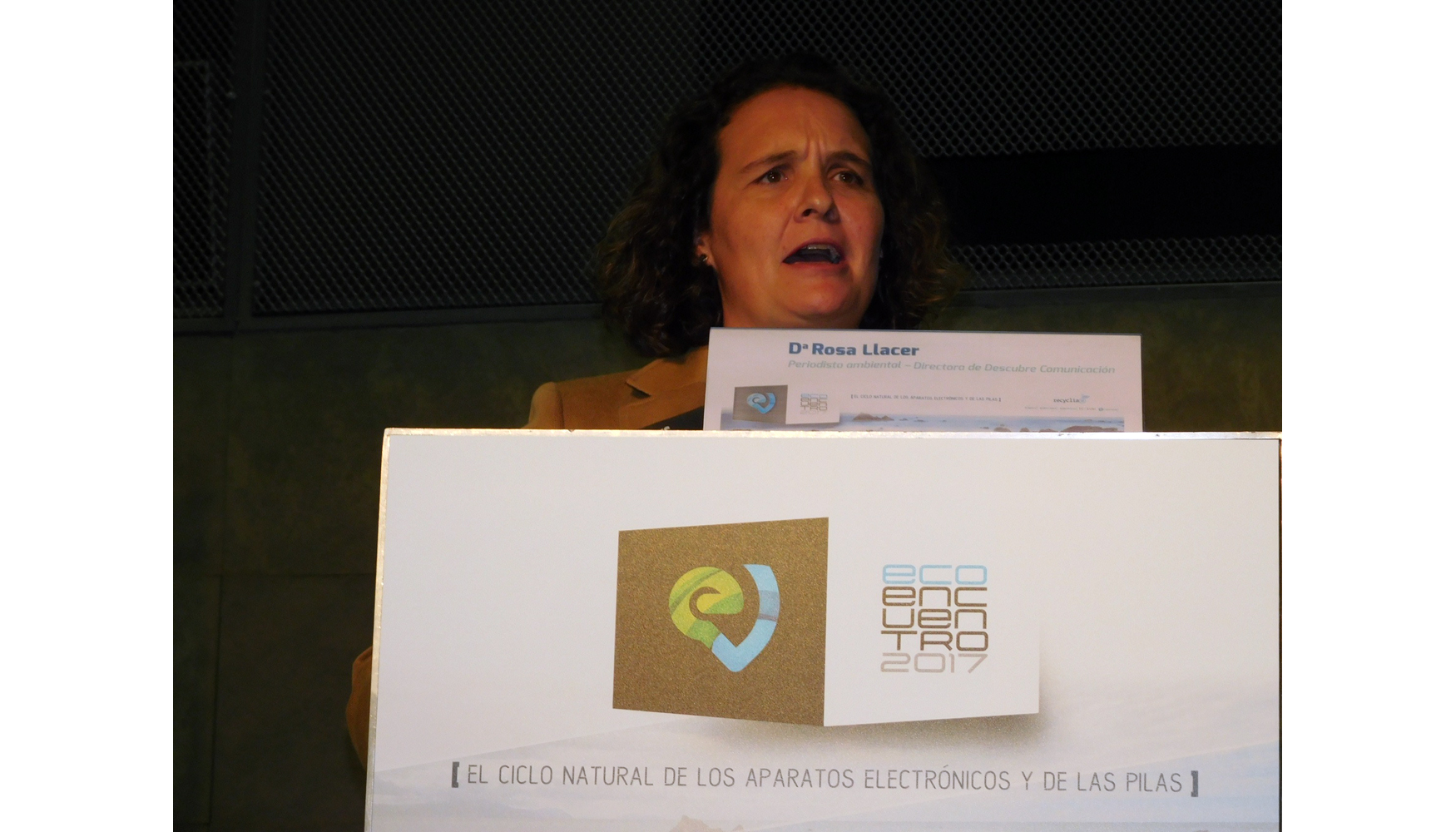 Intervencin de Rosa Llacer, directora de Descubre Comunicacin y periodista ambiental