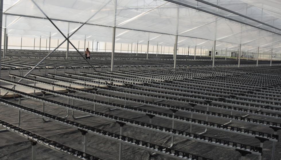 Las nuevas instalaciones estn dedicadas en exclusiva a la produccin de plntulas para agricultura ecolgica