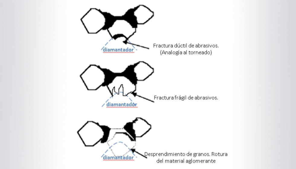 Ilustracin 5: Tipos de desgaste del abrasivo en el proceso de diamantado. Modificado de [Mar.2004]
