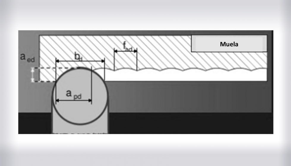 Ilustracin 6: Contacto real de la muela (apd), ancho efectivo de muela (bef) y avance por vuelta del diamantador (fd)