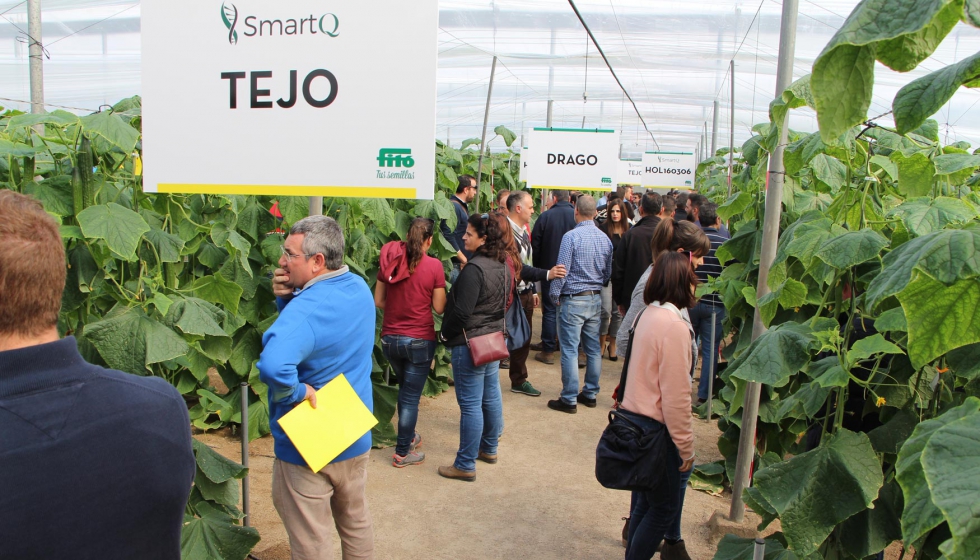 Los asistentes pudieron ver en el invernadero las ventajas de las variedades SmartQ