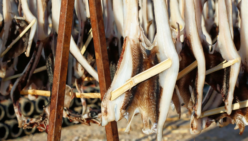 Los investigadores confirmaron una mayor motivacin emocional en el grupo de ratas que recibieron un suplemento de aceite de pescado...