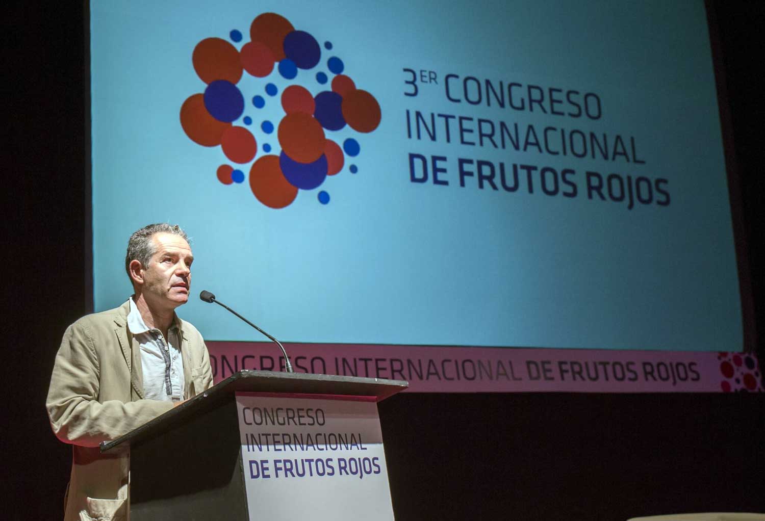 Rafael Domnguez, gerente de Freshuelva, durante su intervencin en el III Congreso Internacional de Frutos Rojos