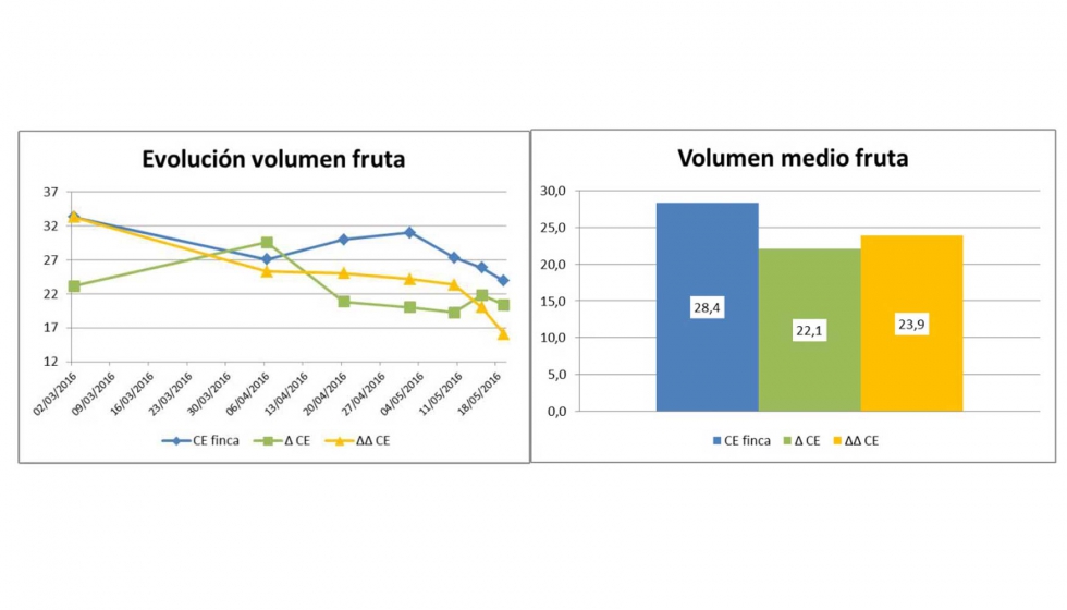Figura 3: Evolucin y media del volumen por fruta (cm3)