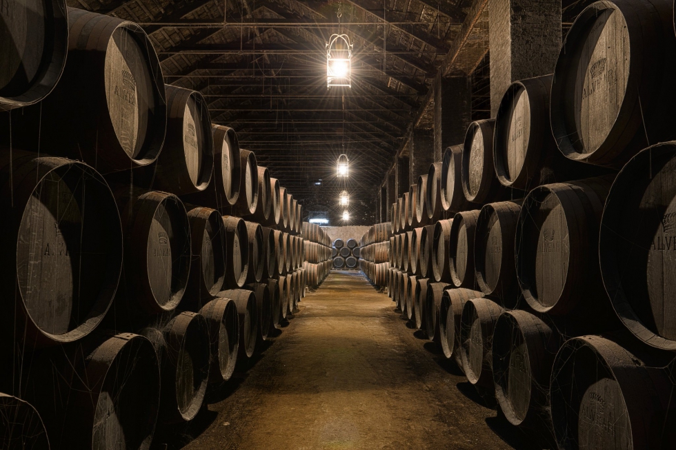 Sala de viejas y grandes tinajas donde tradicionalmente se lleva a cabo la fermentacin de los mostos