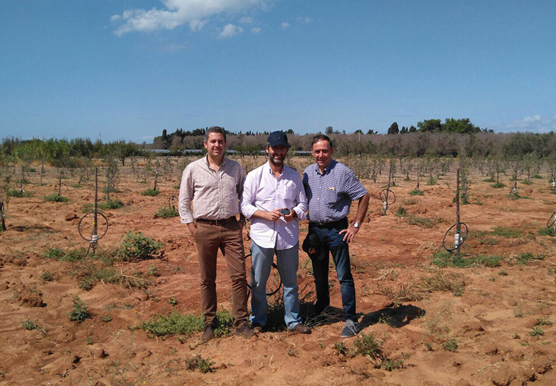 El ingeniero de Todolivo, Manuel Cera; el investigador del Ifapa-Crdoba, Lorenzo Len; y el descubridor de la Xylella, Donato Bosnia...