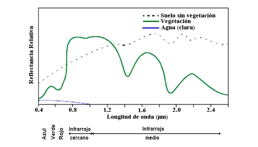 Figura 3. Firma espectral del suelo sin vegetación, de la vegetación y del agua
