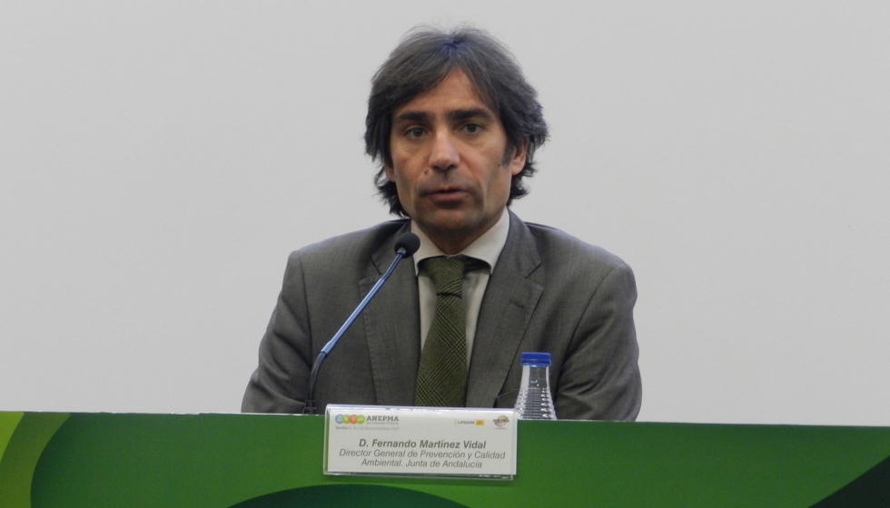 El director general de Prevencin y Calidad Ambiental de la Junta de Andaluca, Fernando Martnez Vidal, en un momento de su intervencin...