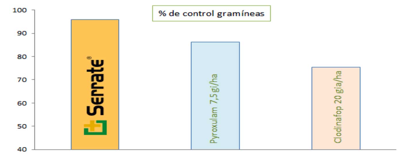 Grfica 1. % control en post emergencia frente a gramneas en cereal de invierno a igualdad de ingrediente activo por hectrea...