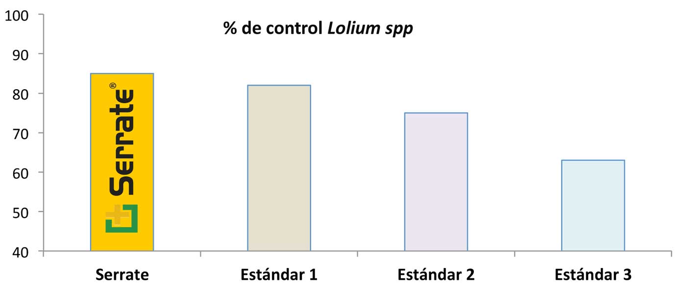 Grfica 3. Control de Serrate a 250g/ha aplicado en post emergencia frente a Lolium spp en cereal de invierno...
