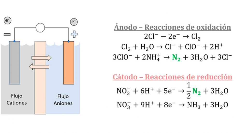 Figura 2. Esquema de funcionamiento de una celda electroqumica y las reacciones qumicas involucradas