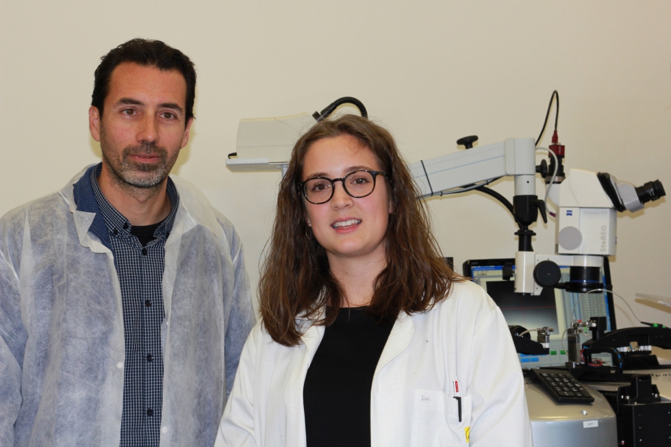 Amadeu Griol junto a Aina Serrano, principales investigadores del proyecto Swinostics