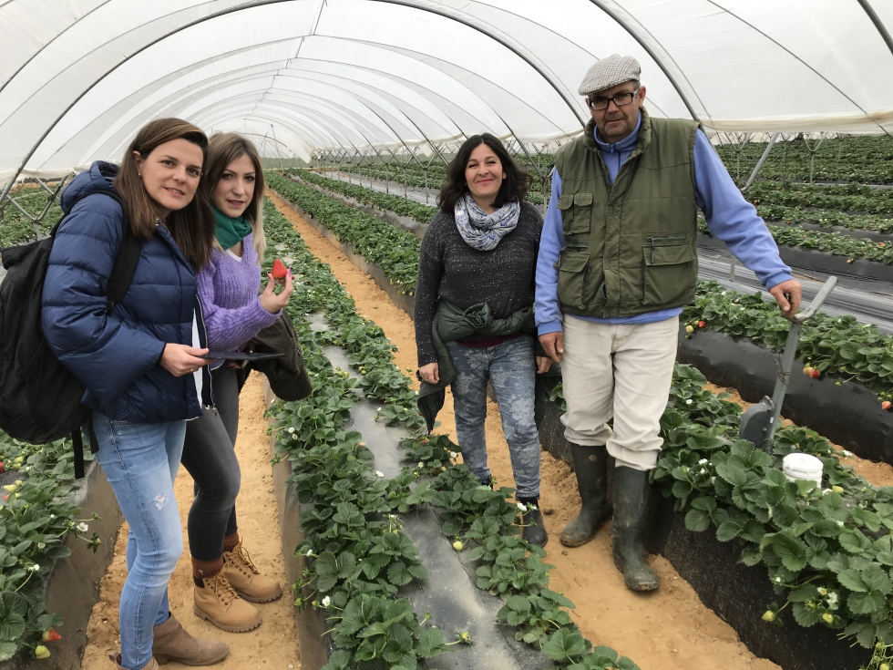 Estefana Hernndez, Yolanda Vilchez, Antonia Prez y Manuel Romero, en el invernadero del agricultor onubense