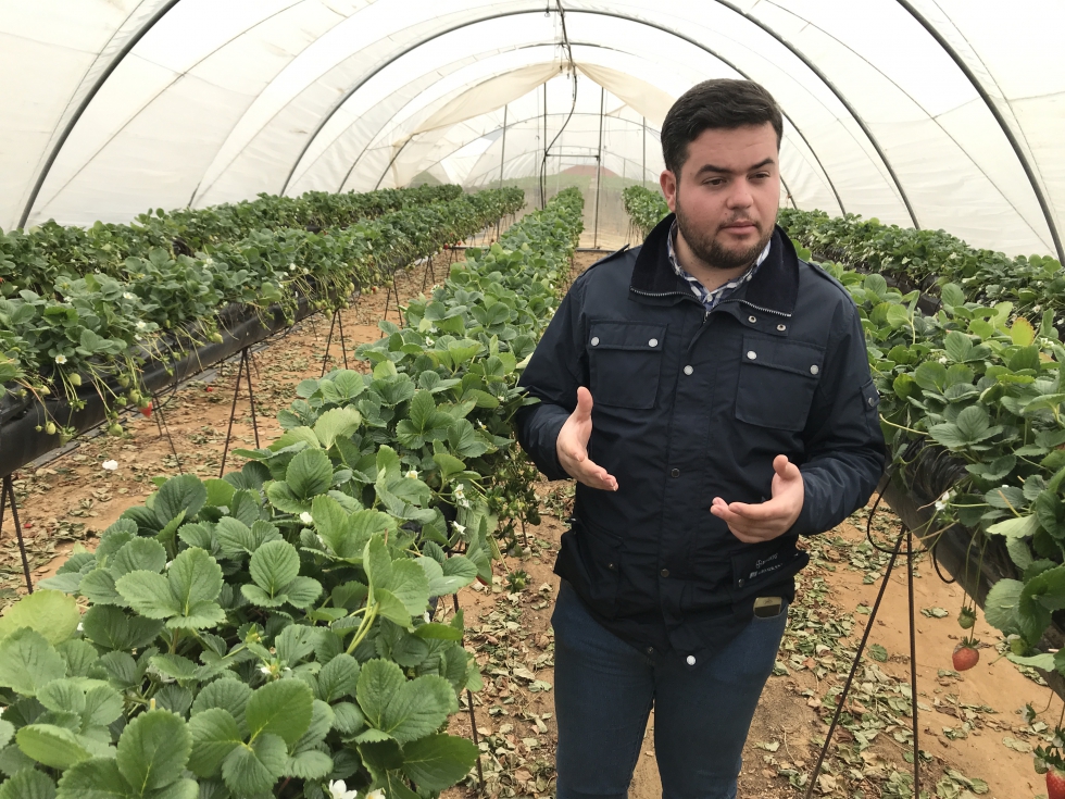 Javier Villegas, tcnico de Frutas Esther, comenz a utilizar la tecnologa de Bosch el pasado mes de noviembre en sus cultivos hidropnicos...
